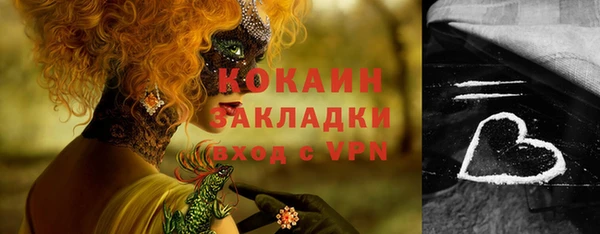 скорость Каменногорск