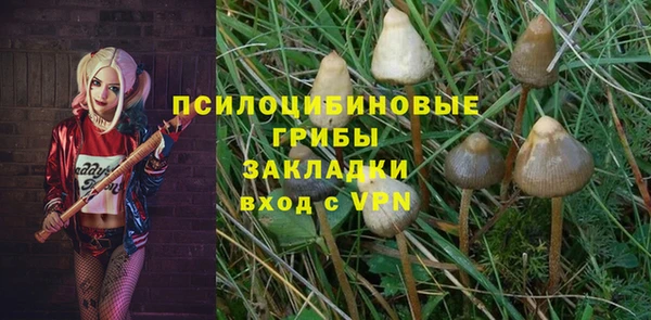 скорость Каменногорск