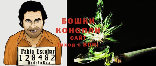 стаф Тында