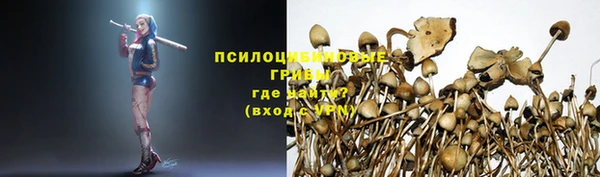 скорость Каменногорск