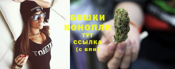 скорость Каменногорск