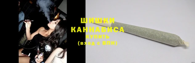 скорость Каменногорск