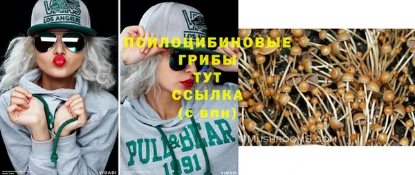 скорость Каменногорск