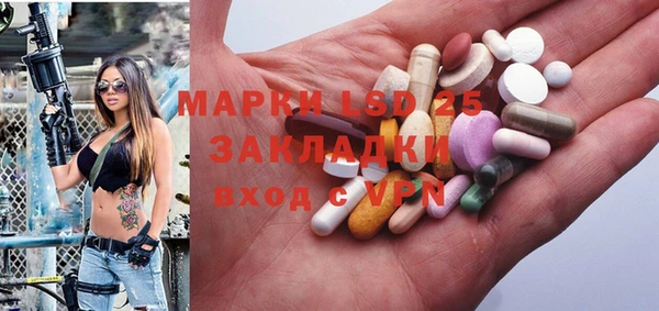 мяу мяу мука Иннополис